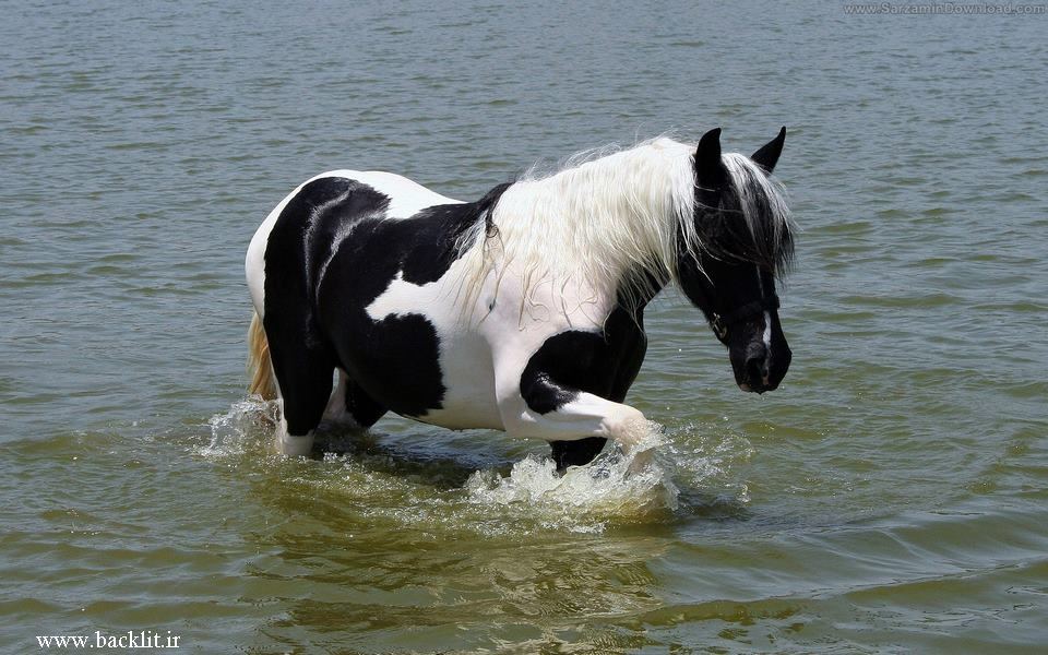 7552